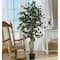 4ft. Potted Ficus Tree